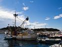 IMG_3540 copy